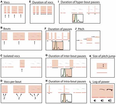 Group and Individual Variability in Mouse Pup Isolation Calls Recorded on the Same Day Show Stability